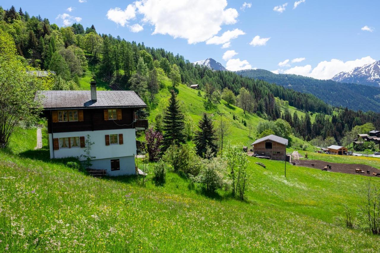 Chalet Orion Bellwald Exterior photo